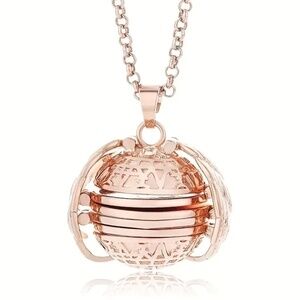 NEW! Gorgeous Rose Gold New Style Photo Pendant Holds 4 Pictures on a Chain!